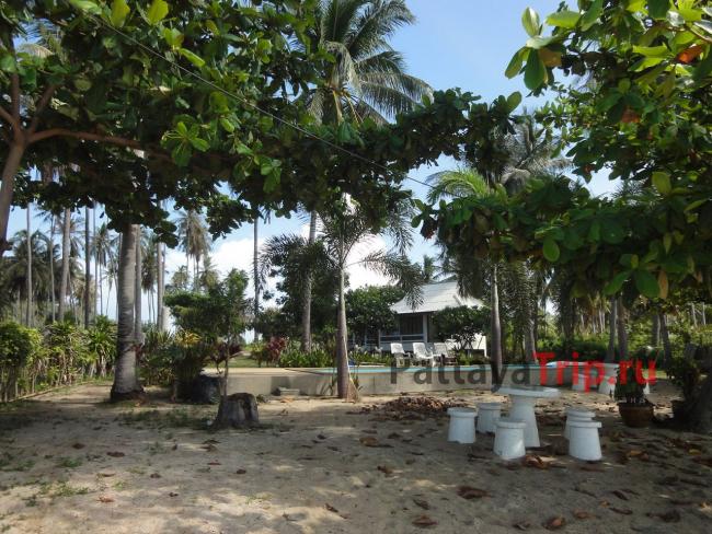 Пляж рядом с отелем Centra Coconut Beach Resort 