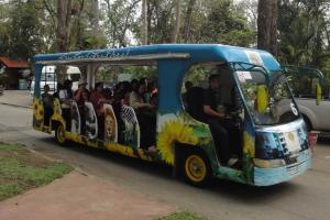 Автобус в зоопарке