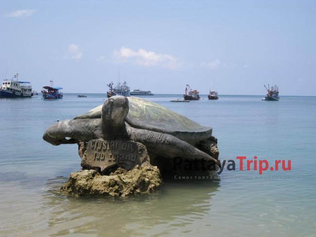 Черепаха - символ острова Ко Тао