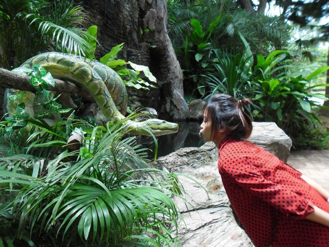 Зоопарк в Накхон Ратчасима