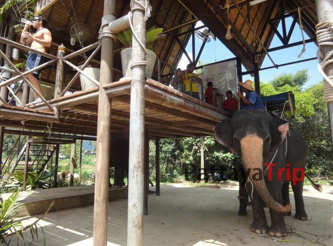 Катание на слонах в сафари-парке Намуанг