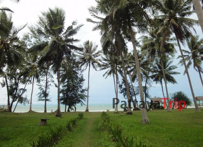 Пляж Банг Макхам