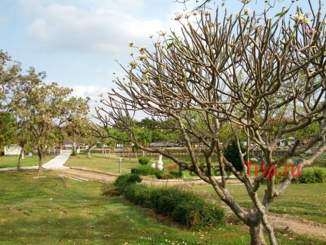 Парк Nong Prajack