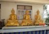 Статуи сидящих Будд